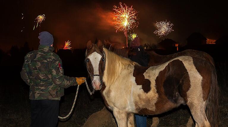 Für Menschen ist das Silvesterfeuerwerk ein farbenprächtiges Ereignis, doch für Tiere bedeutet es Stress. Viele Tierhalter verbringen daher die Nacht an der Seite ihrer Schützlinge, wie hier in Madenhausen.