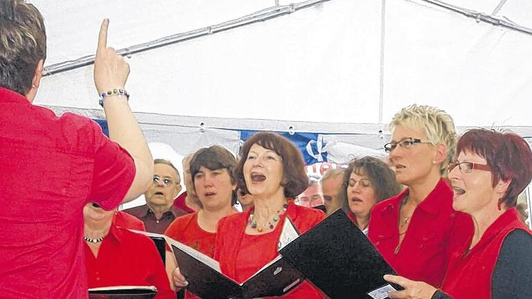 Gemischter Chor aus Heufurt: unter der Leitung von Susanne Bambach.