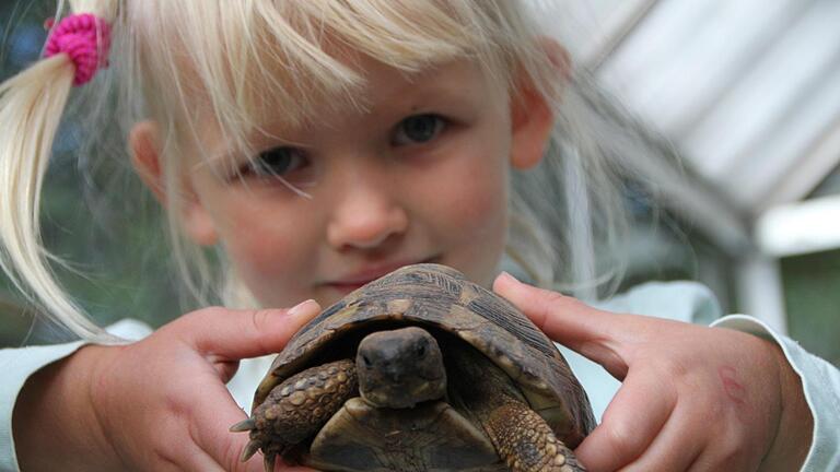 Victoria ist erst drei Jahre alt. Über Schildkröten und ihre Lebensweise weiß sie aber schon ziemlich viel. Foto: Ulrike Müller       -  Victoria ist erst drei Jahre alt. Über Schildkröten und ihre Lebensweise weiß sie aber schon ziemlich viel. Foto: Ulrike Müller