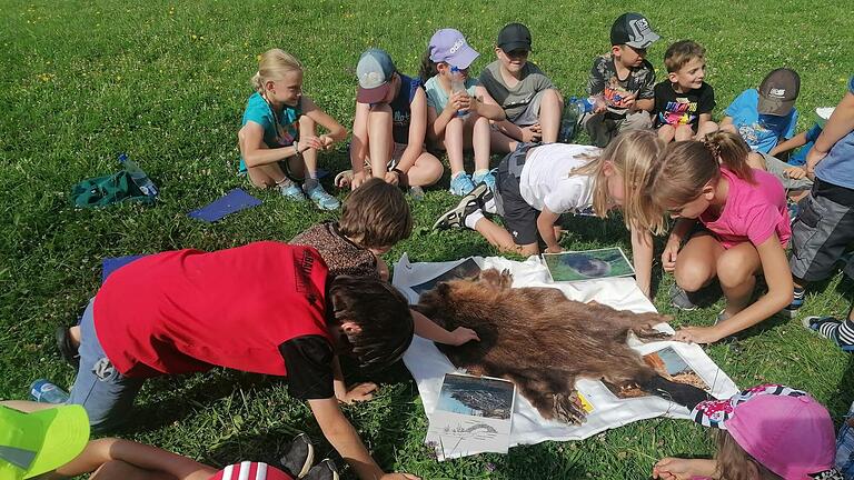 Kinder nehmen Biberfell unter die Lupe.