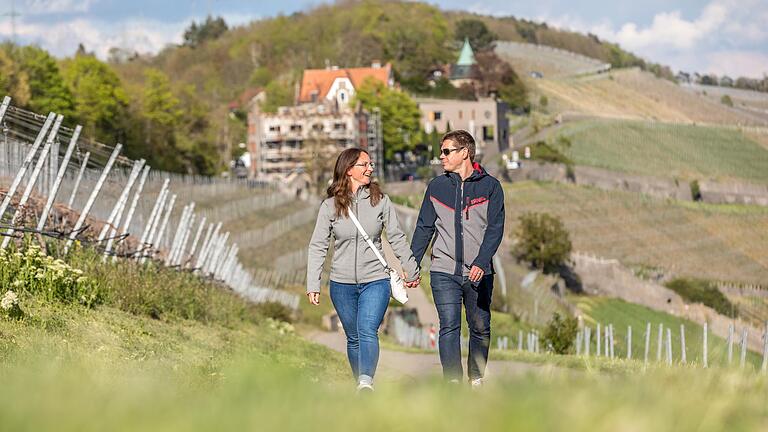 Der Stein-Wein-Pfad (im Bild) ist laut Würzburger Tourismusbüro einer der schönsten Wanderwege in und um Würzburg.