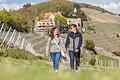 Der Stein-Wein-Pfad (im Bild) ist laut Würzburger Tourismusbüro einer der schönsten Wanderwege in und um Würzburg.