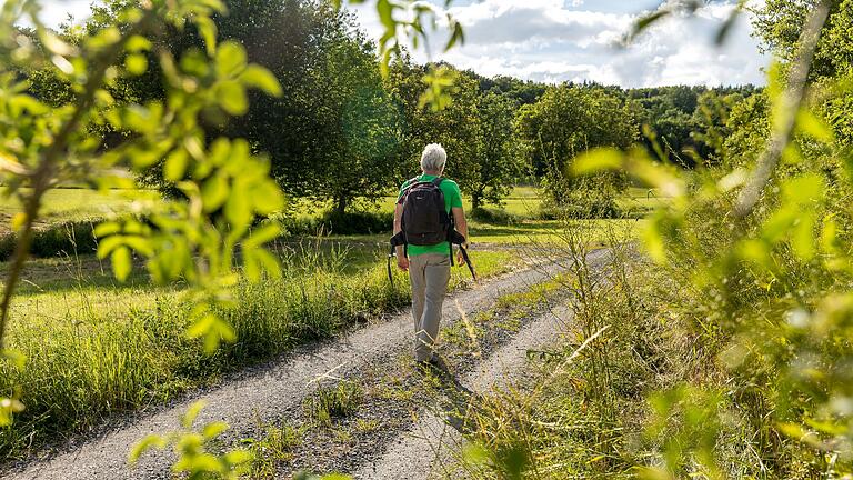 Der Tourismus ist ein bedeutender Wirtschaftsfaktor in Main-Spessart. Das Bild ist auf dem Erlebnispfad 'Im G'spring' in Zellingen entstanden.