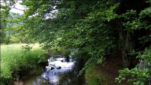Sinner verkündet das &bdquo;Aus&ldquo; für Trinkwasserspeicher im Hafenlohrtal
