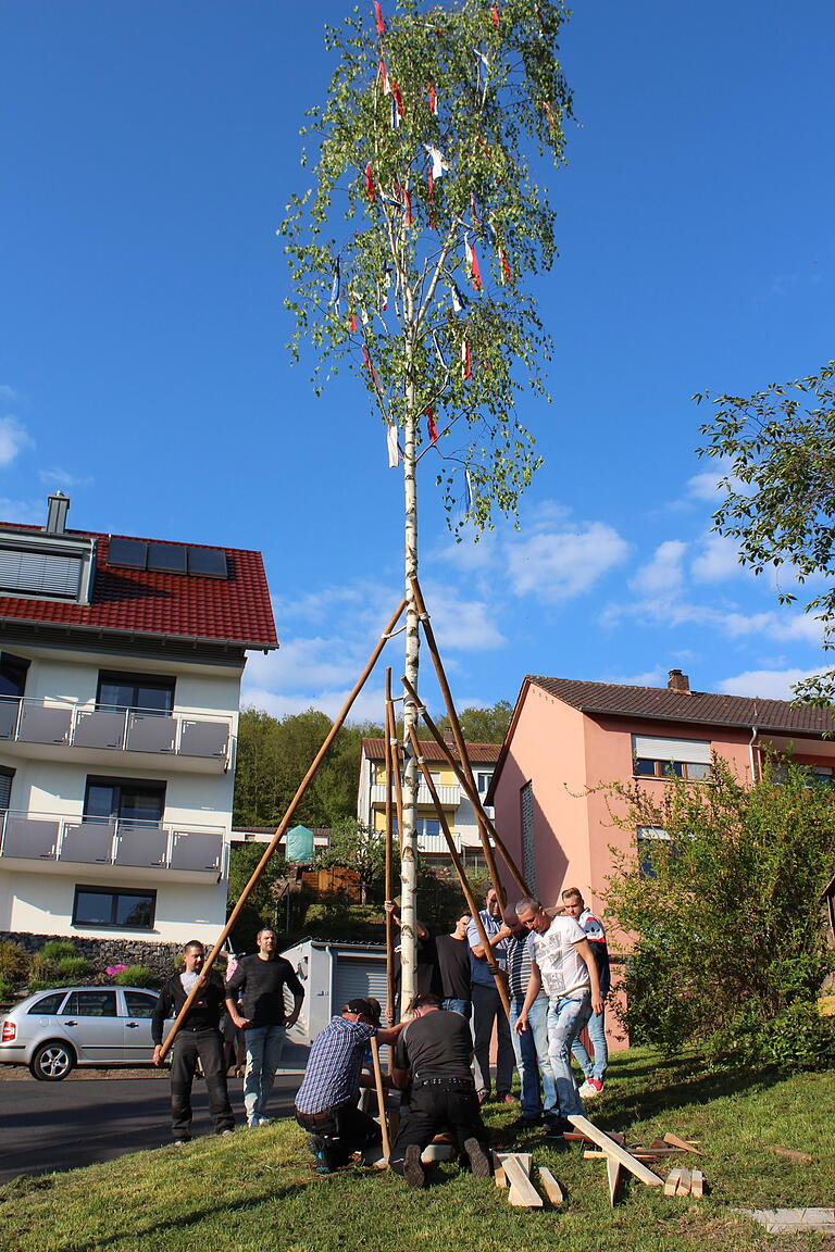 Siedler beim Maibaumaufstellen