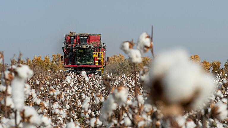 Baumwollernte in China       -  China wirft PVH vor, Baumwolle und andere Produkte aus Xinjiang gemieden zu haben. (Symbolbild)