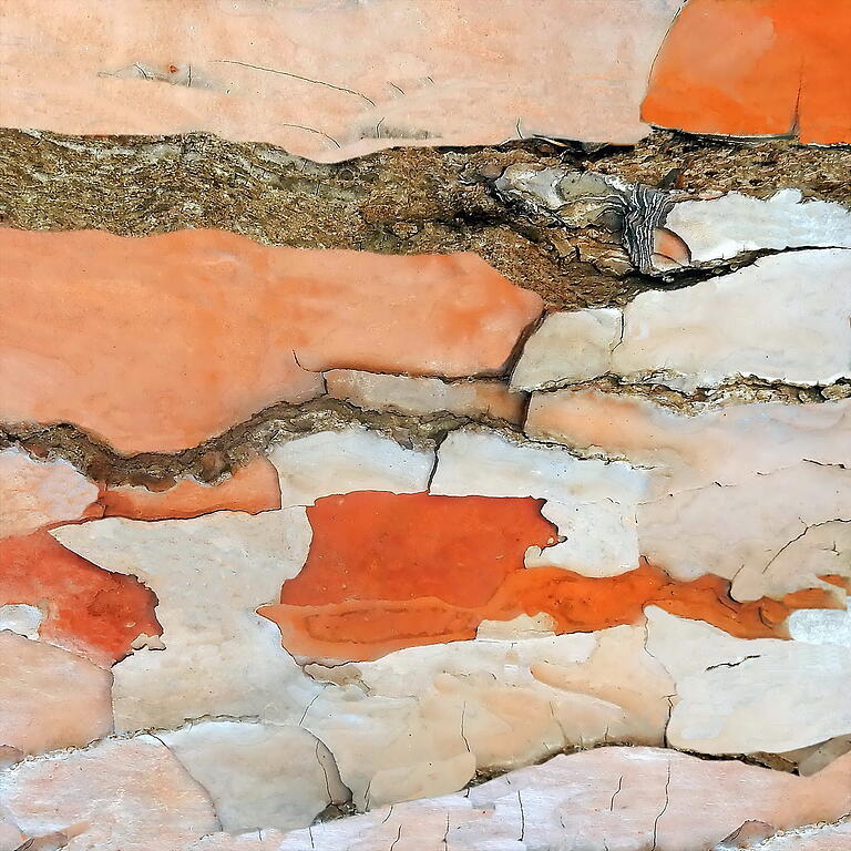 Komposition in Orange, Braun und Creme: Nahaufnahme einer mediterranen Kiefer von einem Teich am Yellowstone. Komposition in Orange, Braun und Creme: Nahaufnahme einer mediterranen Kiefer von einem Teich am Yellowstone.