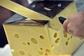 Emmentaler.jpeg       -  Bakterien sorgen für die Löcher im Käse.