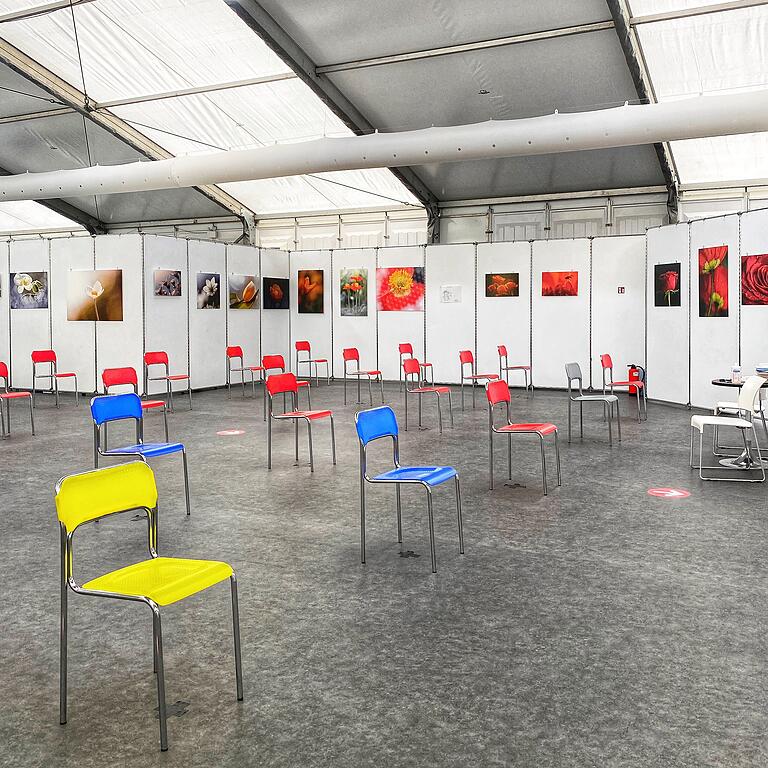 Makro-Fotografien des Fotoclubs Würzburg werden im Impfzentrum gezeigt.