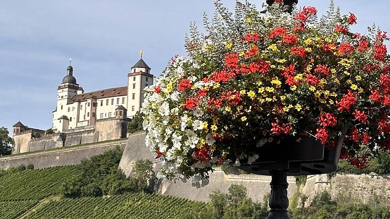 An rund 90 Standorten wurden an den historischen Straßenlaternen in der WürzburgerInnenstadt die Blumenampeln angebracht.