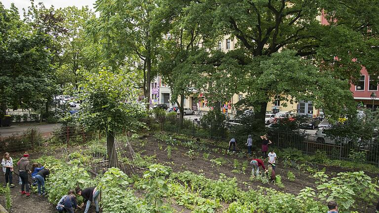 In der GemüseAckerdemie lernen Schülerinnen und Schüler, wie man Lebensmittel anbaut, erntet und verarbeitet.