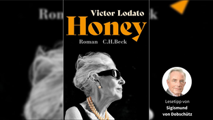 Das Cover von Victor Lodatos 'Honey'.       -  Das Cover von Victor Lodatos 'Honey'.