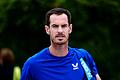 Andy Murray       -  Andy Murray wird nicht in Wimbledon aufschlagen.