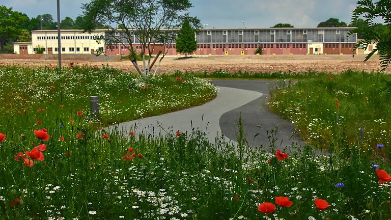 Die Blumen blühen in der Carus-Allee in der ehemaligen Ledward Kaserne. Im Hintergrund die Panzerhalle 237, die in fünf Jahren ein wesentlicher Bestandteil der Landesgartenschau 2026 sein wird.