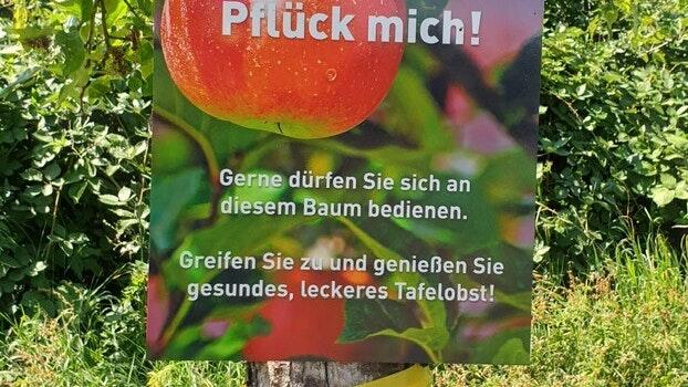 Die Aktion "Pflück mich" wird seit Jahren erfolgreich im Stadtgebiet durchgeführt. Die Aktion "Pflück mich" wird seit Jahren erfolgreich im Stadtgebiet durchgeführt.