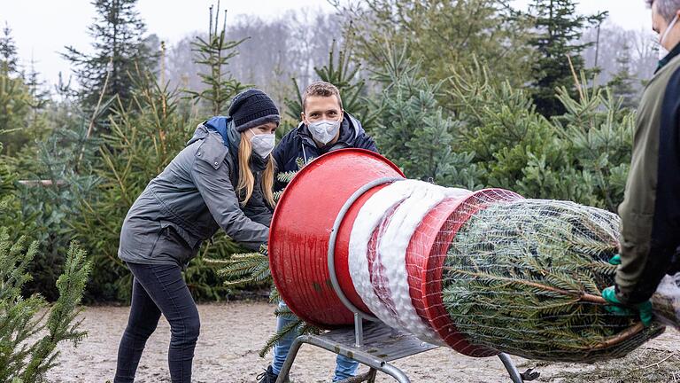 Den richtigen und vor allem frischen Weihnachtsbaum zu finden, ist oft gar nicht so leicht. Diese Kundin und dieser Kunde scheinen ihn in der Nähe von Gramschatz gefunden zu haben.