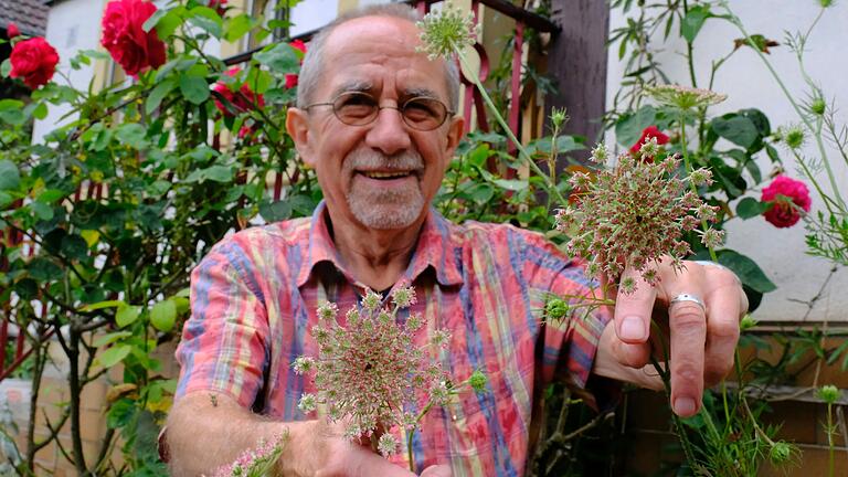 Egbert Kuhn aus Gollmuthhausen und seine besondere Gartenpflanze, vermutlich eine Wilde Möhre. Die leicht violett-rötliche Färbung dürfte aber eigentlich nicht sein, denn die Dolde blüht lehrbuchmäßig stets weiß bis auf einen dunklen Punkt in der Mitte.&nbsp;&nbsp;