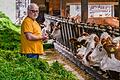 Der Hof von Biolandwirt und Milchkuhhalter Ralf Bund in Wertheim (Main-Tauber-Kreis) verkauft Bioware, die seit fünf Jahren auch vom Discounter Lidl vertrieben wird.