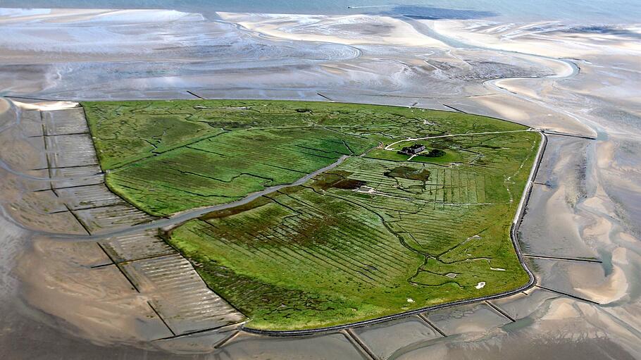 Wattenmeer vor der Hallig Süderoog       -  Hochzeit am Meer: Auf der Hallig Süderoog in der Nordsee können sich Paare trauen lassen.