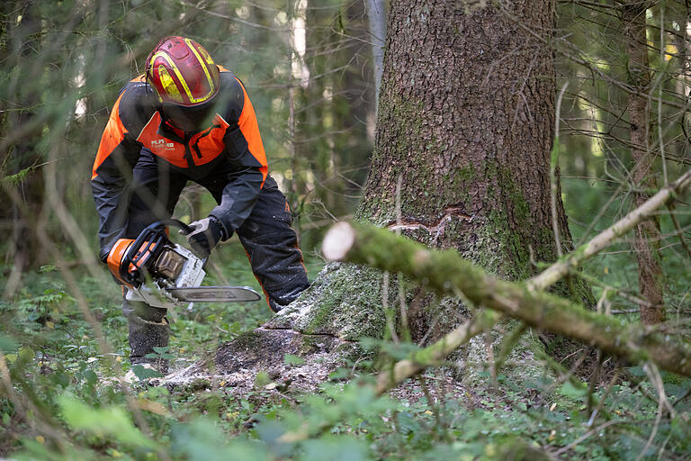 Der Holzeinschlag (hier ein Symbolfoto) im Bischofsheimer Stadtwald erfolgte im vorgesehenen Rahmen. Die Einnahmen aus dem Holzverkauf fielen allerdings geringer aus als erwartet. Der Holzeinschlag (hier ein Symbolfoto) im Bischofsheimer Stadtwald erfolgte im vorgesehenen Rahmen. Die Einnahmen aus dem Holzverkauf fielen allerdings geringer aus als erwartet.