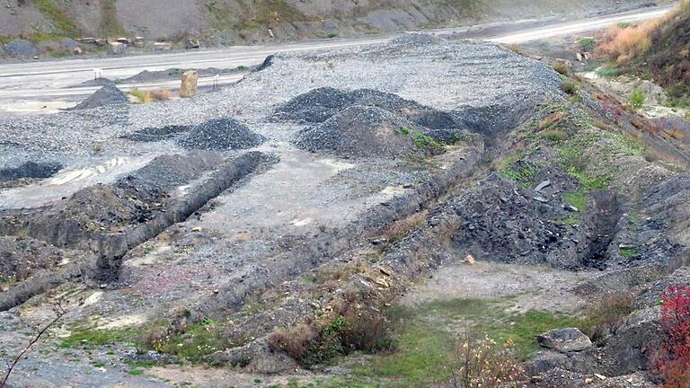 Der teerhaltige Straßenaufbruch, der im Schotterwerk illegal verfüllt wurde, soll auf eine dafür zugelassene Deponie, fordern Landespolitiker. Foto: Thomas Fritz