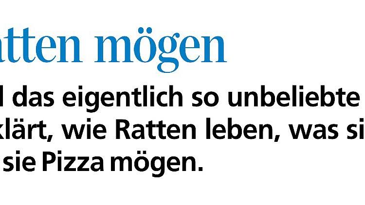 Vorankündigung vom 20.1 - Diese Vorankündigung auf der Seite 'Einblicke' war einer Leserin, die sich vor Ratten ekelt, am 20.1. eine Vorwarnung. Sie hat sich dafür bedankt. Vorankündigung vom 20.1 - Diese Vorankündigung auf der Seite 'Einblicke' war einer Leserin, die sich vor Ratten ekelt, am 20.1. eine Vorwarnung. Sie hat sich dafür bedankt.