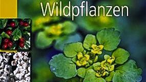 Über Vögel und Wildpflanzen