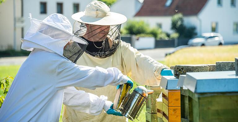Sobald die Bienen den Rauch aus dem Smoker bemerken, schlagen sie sich die Bäuche mit Honig voll. Dadurch werden sie träge. Sobald die Bienen den Rauch aus dem Smoker bemerken, schlagen sie sich die Bäuche mit Honig voll. Dadurch werden sie träge.