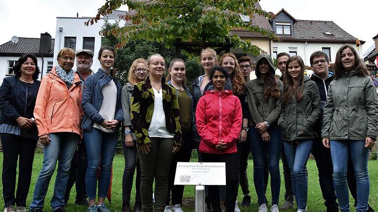 14 Hörbäume hat das W-Seminar Biologie des Lohrer Gymnasiums in der städtischen Anlage mit Unterstützung der Touristinfo Stadt Lohr und des städtischen Bauhofs geschaffen. Auf unserem Foto stehen die Beteiligten vor einem persischen Eisenholzbaum.