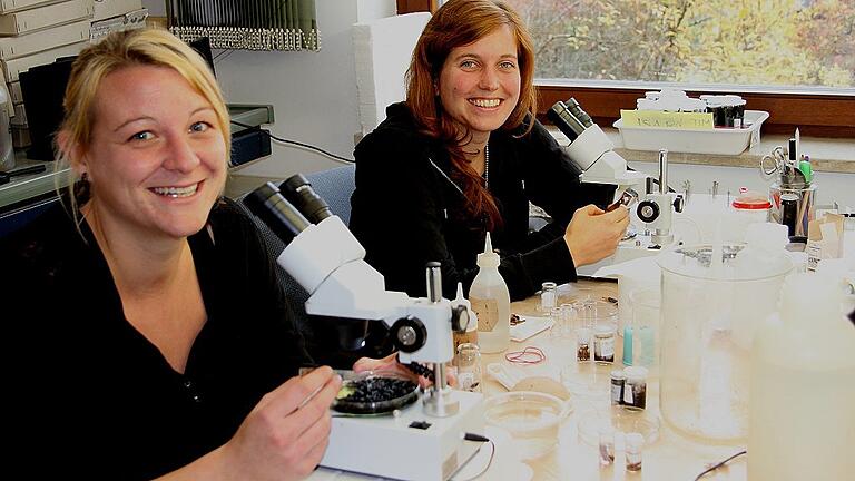 Biologin Ann-Kathrin Bröger vom Wildbienenmanagement und MSC-Biologin Sophia Hochrein (von links) bei ihrer aktuellen Arbeit zur Auswertung der Renaturierung am Obermain und der Rücknahme der Versteinerung an der Isar. Biologin Ann-Kathrin Bröger vom Wildbienenmanagement und MSC-Biologin Sophia Hochrein (von links) bei ihrer aktuellen Arbeit zur Auswertung der Renaturierung am Obermain und der Rücknahme der Versteinerung an der Isar.