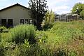 Die neuen Gewächshäuser im Hintergrund sind schon bezugsfertig. Der Sozialbau der BKH-Gärtnerei links soll abgerissen werden. Ein Neubau ist 20 Meter hangaufwärts geplant.