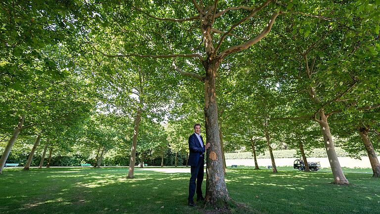 Will den Klimaschutz mit einem überparteilichen 'Jahrhundert-Vertrag' politisch umarmen: Bayerns Ministerpräsident Markus Söder (CSU) unter den Platanen im Münchner Hofgarten.