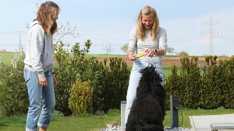 Labradudel Motte gehört fest zur Familie Hirschmann. Die fast ein Jahr alte Hundedame hat Jasmin Hirschmann die ursprüngliche Angst vor Hunden genommen.