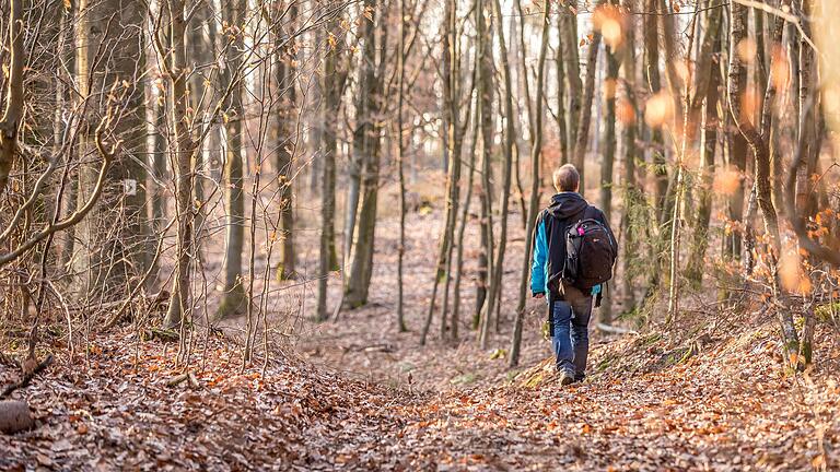 Die TraumRunde Prichsenstadt lädt dazu ein, die Natur auf sich wirken zu lassen, nicht zu denken und die Ruhe und Unaufgeregtheit zu genießen.