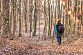 Die TraumRunde Prichsenstadt lädt dazu ein, die Natur auf sich wirken zu lassen, nicht zu denken und die Ruhe und Unaufgeregtheit zu genießen.
