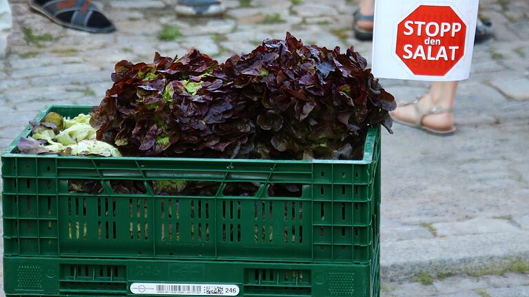 Wiesentheid hat nun doch nicht den Salat: Die&nbsp; Protestbewegung 'Stoppt die Salatfabrik' hat dafür gesorgt, dass der Investor aufgab und nun nach einem anderen Standort Ausschau hält.