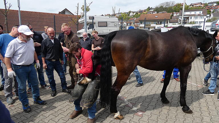 120 Hufschmiede aus ganz Deutschland waren in Ebelsbach bei einem Workshop von Sven Bräutigam zu Gast. Auch Hufbeschlagtechniken wurden vorgeführt. Fachwissen vermittelte der bekannte Hufschmied und Tierarzt Dr. Hans Castelijns (links).