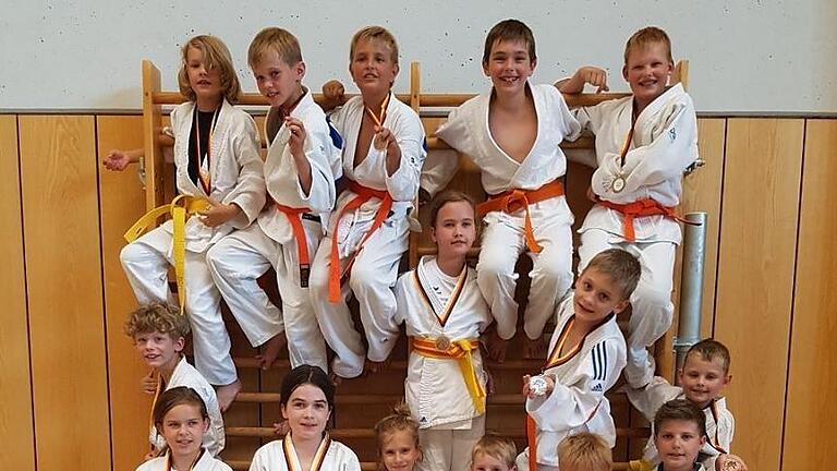 Die Judokas des FC Iphofen schnitten bei den unterfränkischen Meisterschaften sehr erfolgreich ab. Zum Mannschaftserfolg trugen bei (von links, erste Reihe von oben) Bennet Schilling,  Alexander Myronov, Luis Kirchner, Lasse Bellmann und Meo Winter, (zweite Reihe von oben) Lorenz  Scheiner, Milla Schilling, Daniel Tabert und Maximilian Geisel, (dritte Reihe von oben) Anika Weigand, Hanna Stahl, Antonia Dorsch, Paul Hanft, Roderich Stark und Emilio Bellanti, (sitzend von links) Tine Bellmann, Kim Schönig und Mathilda Schumann.