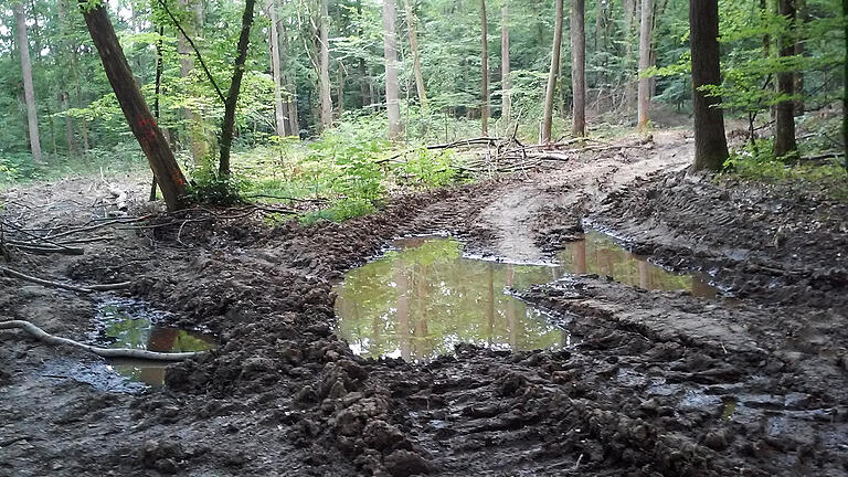 Bilder, die keiner großen Worte bedürfen. So sah es auf den von Waltrad Steinmetz am 18. Mai 2018 gemachten Fotos im Bereich des beim Holzrücken Anfang des Monats von schweren Maschinen in Mitleidenschaft gezogenen Steigerwald-Panormawegs im Staaatswald oberhalb von Neuhausen aus.