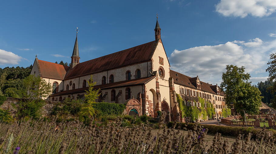 Kloster Bronnbach       -  Das Kloster Bronnbach in Wertheim vereint Romanik und Gotik: eine romantische Location für eine Hochzeit.