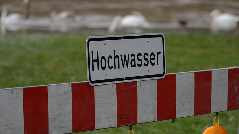 Der Main tritt wegen anhaltender Regenfälle in der Sanderau in Würzburg über die Ufer.