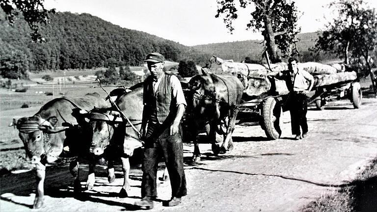 Der Holztransport zu früheren Zeiten war beschwerlich. Unter anderem deswegen hofften Betriebe im Steigerwald auf den Bau einer Bahnstrecke.