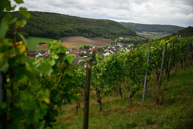 Der Weg Richtung Wirmsthal oberhalb der Weinberge ist einer der schönsten Abschnitte der Tour. Der Weg Richtung Wirmsthal oberhalb der Weinberge ist einer der schönsten Abschnitte der Tour. 