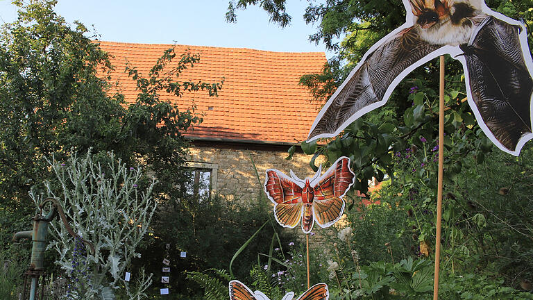 Ein Refugium für Nachtblüher, Nachtschwärmer und allerlei Fledergetier: der Hortus nocte in Mainbernheim.