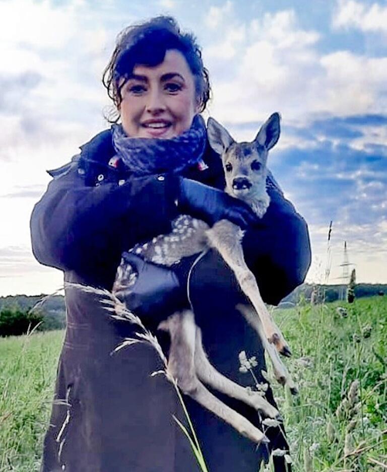 Mit Handschuhen bringt Iris das Rehkitz aus der Gefahrenzone, legt es am Waldrand ab, wo es die Rehmutter finden kann. Mit Handschuhen bringt Iris das Rehkitz aus der Gefahrenzone, legt es am Waldrand ab, wo es die Rehmutter finden kann.
