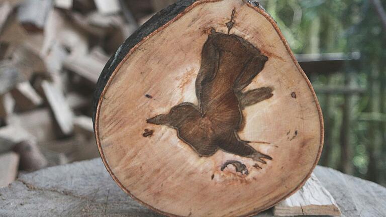 Als wäre er bereit zum Abflug: Der 'Vogel' im Kern der Buchenholzscheibe von Werner Eberwein aus Eschenbach.