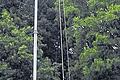 Funker Joachim vor seiner Antenne.