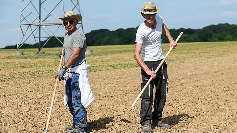 Wael Abdulmunem und Dilgash Kalaf bei ihrer Arbeit auf dem Feld - beide sind als Flüchtlinge nach Deutschland gekommen.