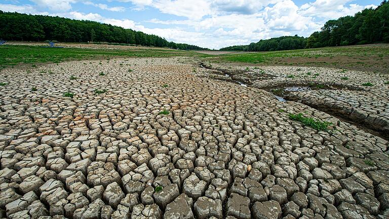 Der Ellertshäuser See glich im Sommer 2022 eher einer ausgedörrten Wüstenlandschaft.