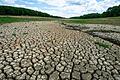 Der Ellertshäuser See glich im Sommer 2022 eher einer ausgedörrten Wüstenlandschaft.